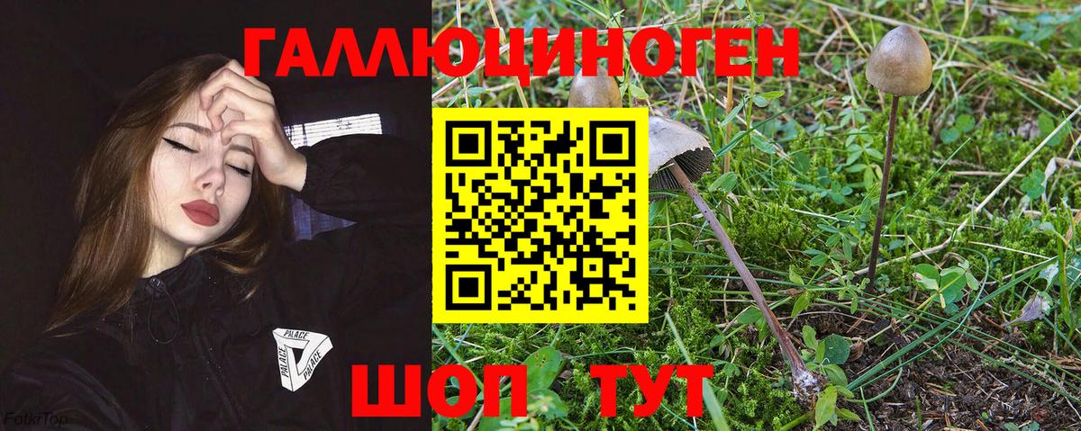 где купить   Вход с VPN  Ухта  Галлюциногенные грибы прущие грибы 